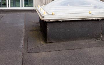 disadvantages of Long Crichel flat roofs