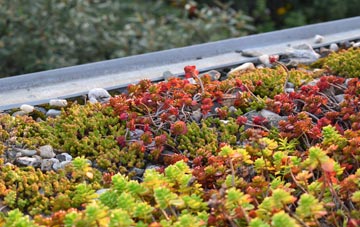 the cost of Long Crichel green roof installation