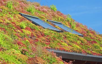 Long Crichel living roof systems