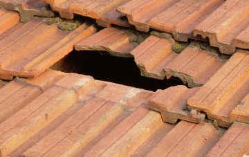 roof repair Long Crichel, Dorset