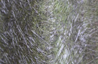 Long Crichel fibreglass roof work